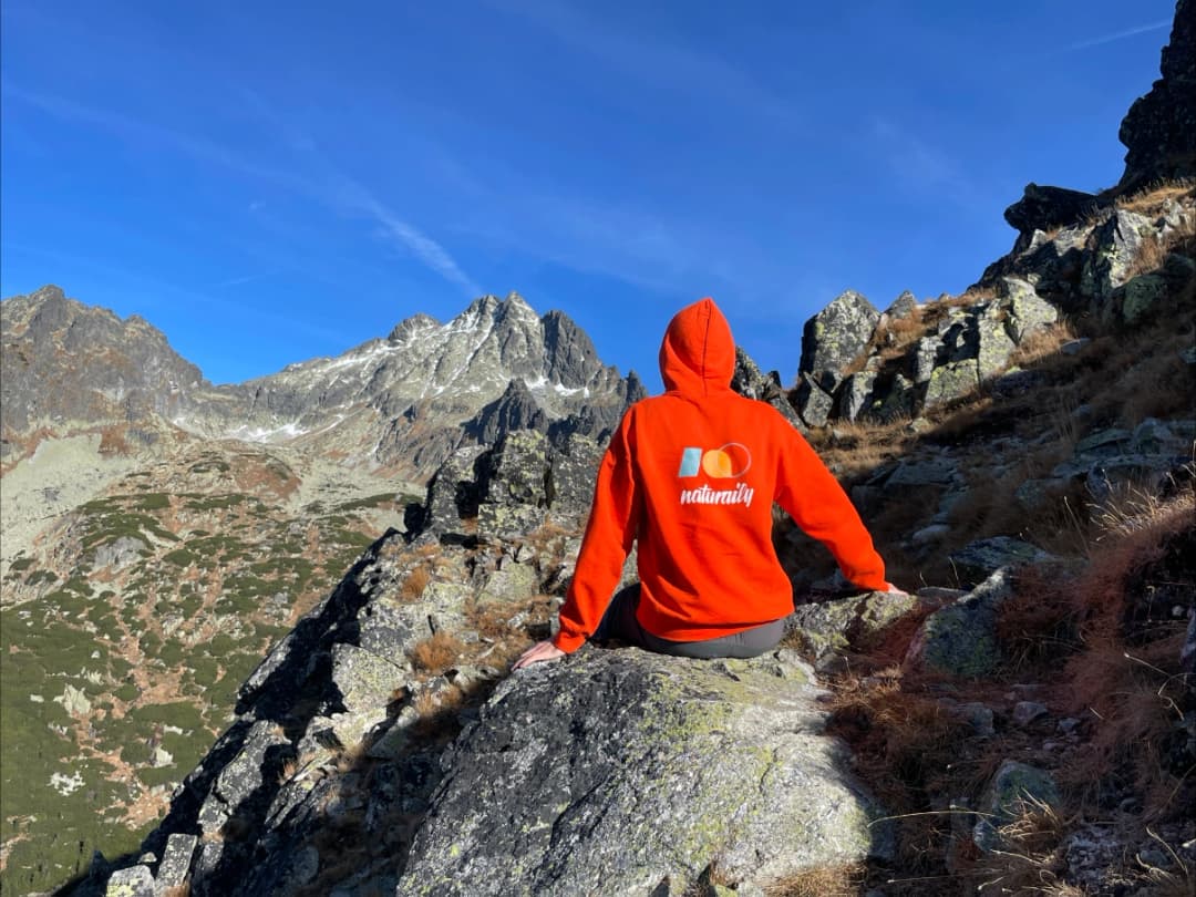 Naturaily employee sitting at the top of a mountain wearing a branded hoodie