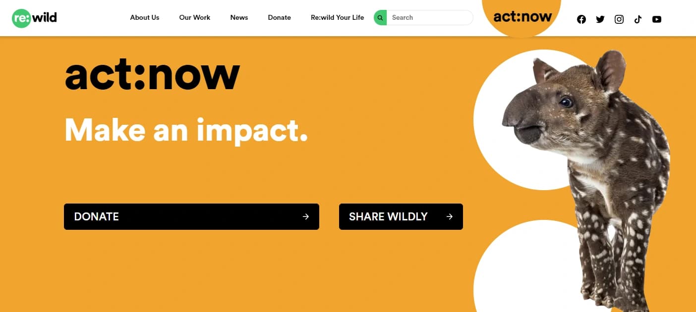 Website homepage with a yellow background, featuring a tapir and text "act:now Make an impact." Includes "Donate" and "Share Wildly" buttons.