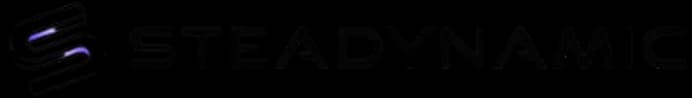 Steadynamic logo