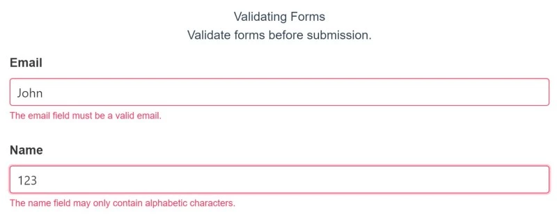 Form validation error message displayed for invalid email and name inputs, highlighting incorrect entries in red.