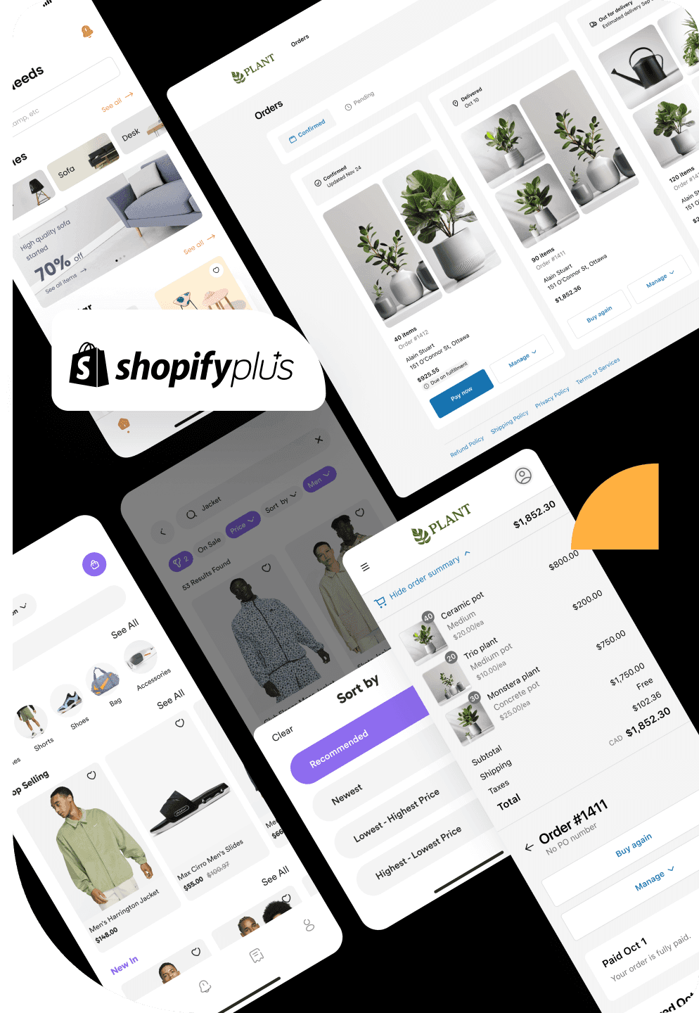 Shopify Plus Development Service illustration