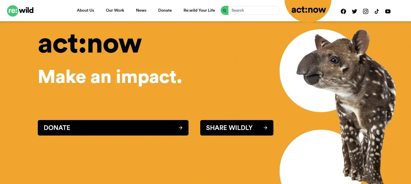 rewild