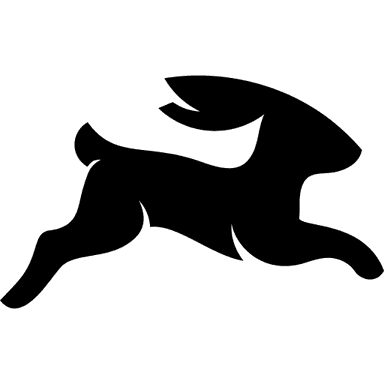 Directus CMS logo